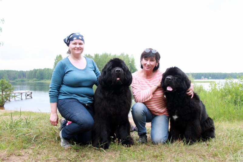 Фотография № 186590