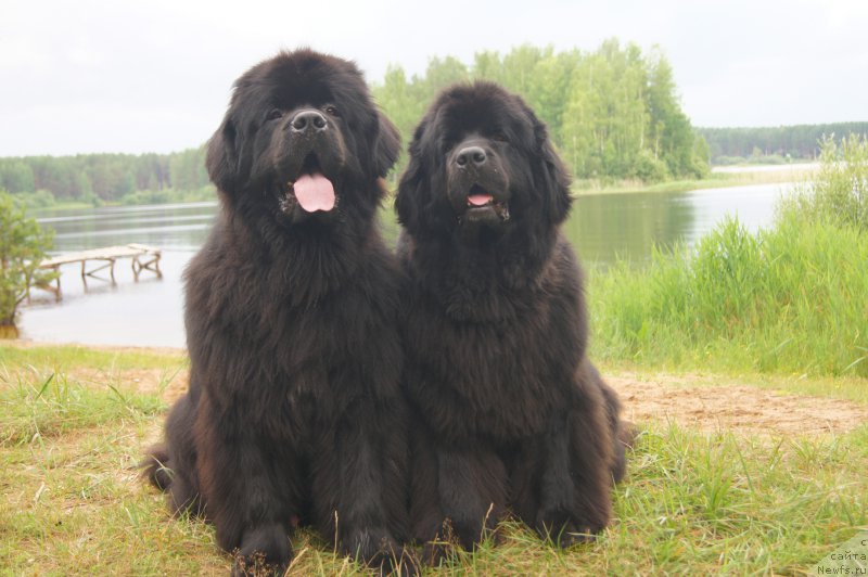 Фотография № 186601