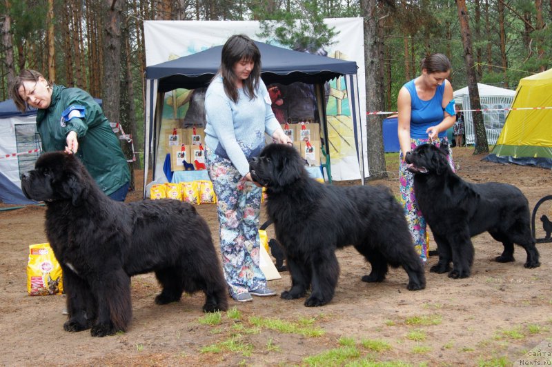 Фотография № 186603