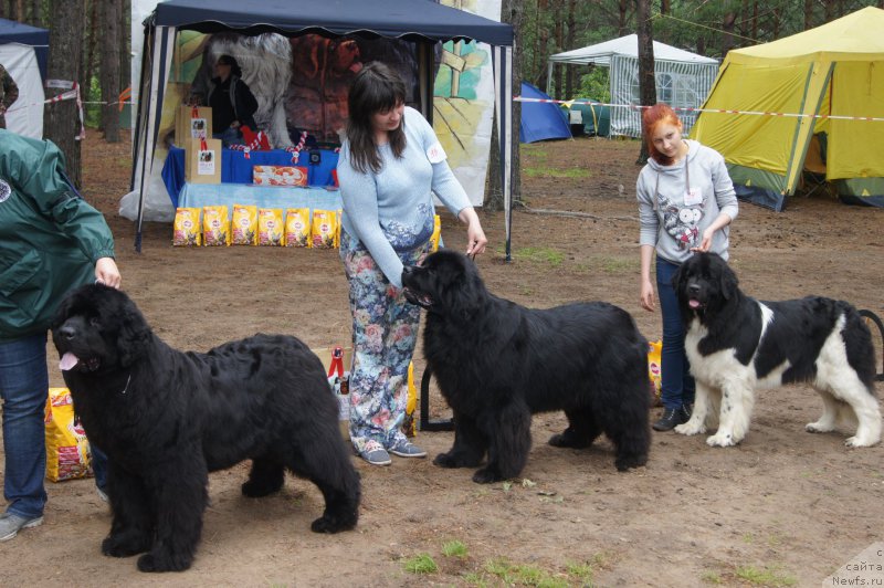 Фотография № 186605