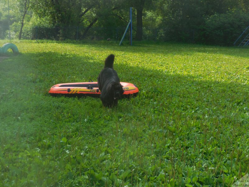 Фотография № 186695