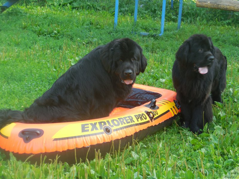 Фотография № 186696