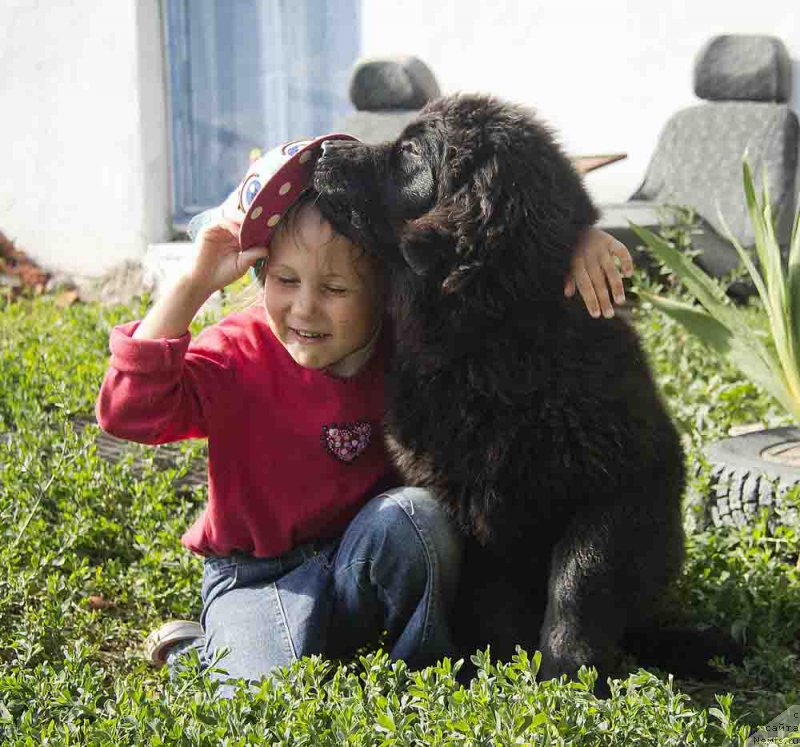 Фотография № 186703