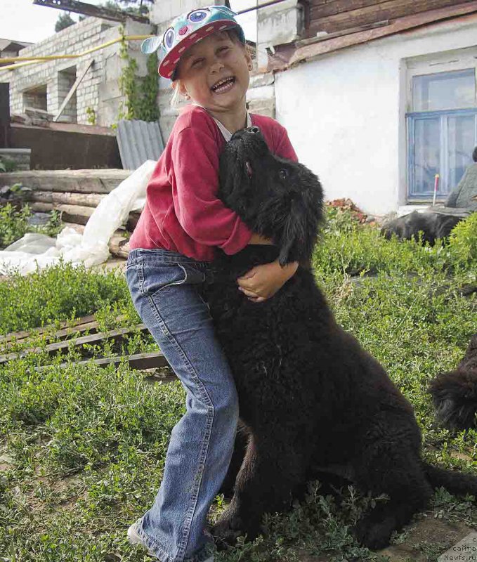 Фотография № 186705