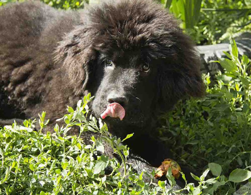 Фотография № 186708