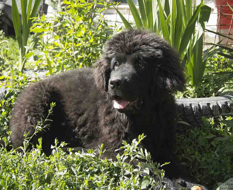 Фотография № 186709