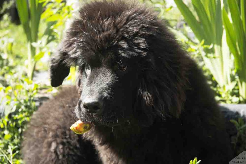 Фотография № 186710