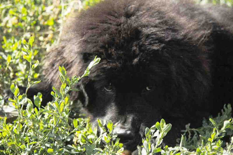 Фотография № 186711