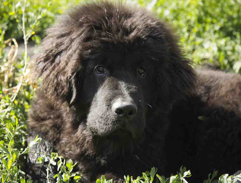 Фотография № 186713