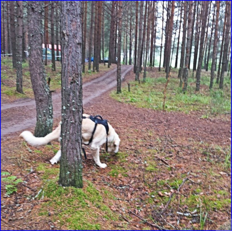 Фотография № 186714