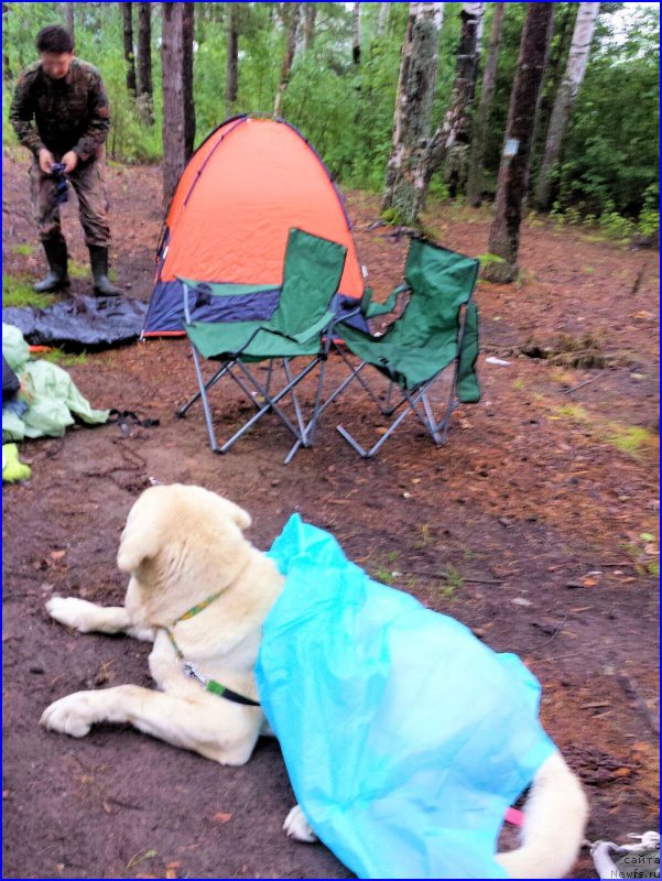 Фотография № 186718