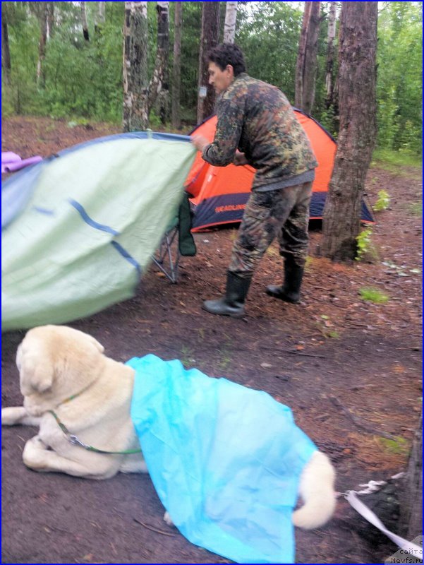 Фотография № 186719