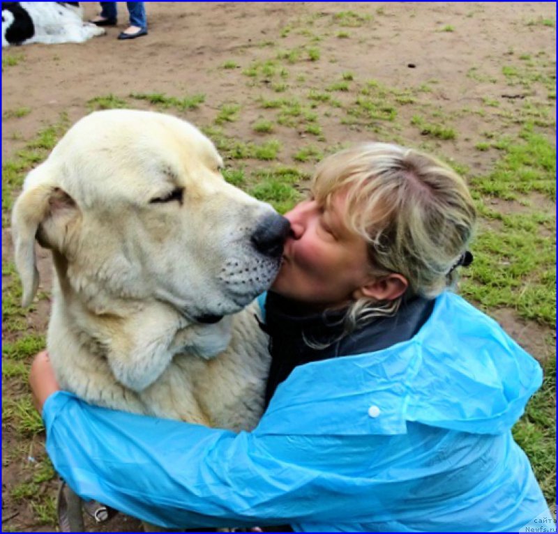 Фотография № 186720