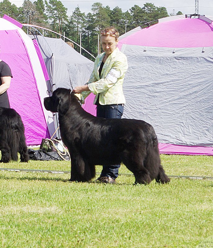 Фотография № 186723