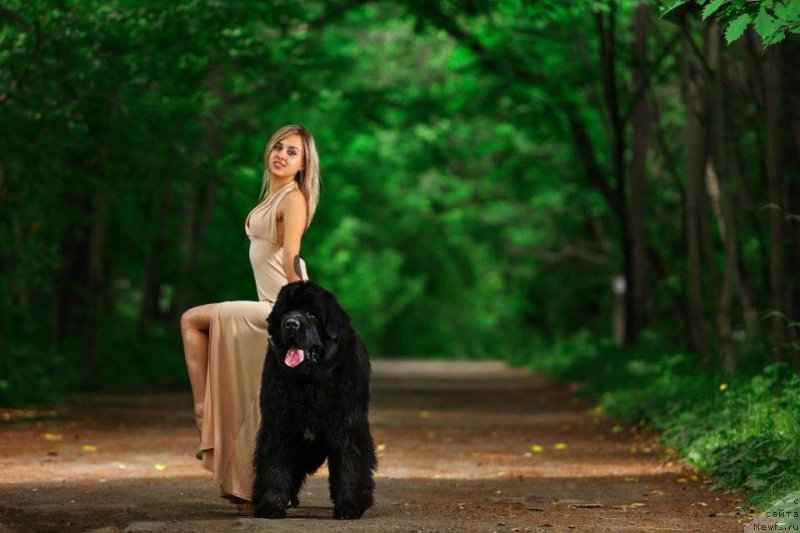 Фотография № 186728