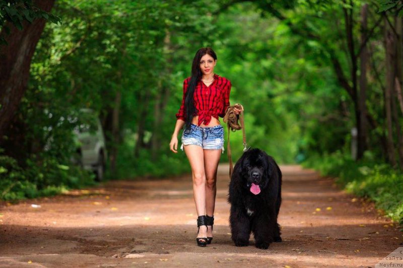 Фотография № 186732