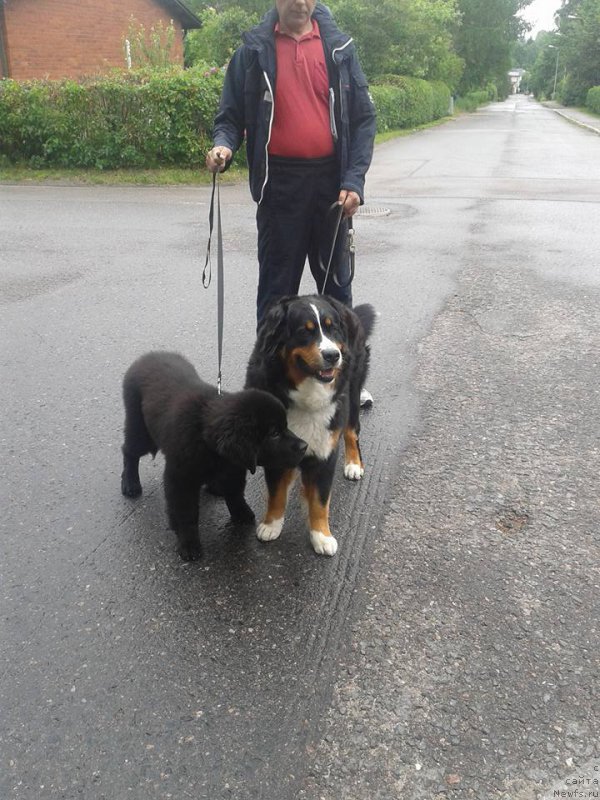 Фотография № 186734