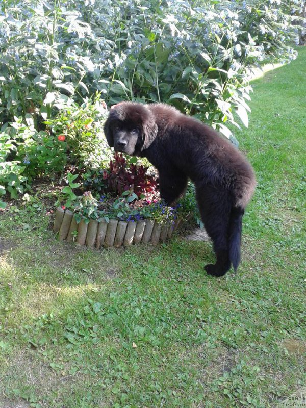 Фотография № 186735