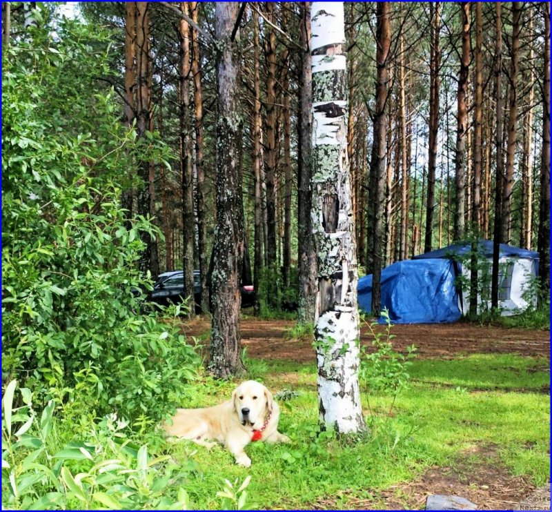 Фотография № 186738