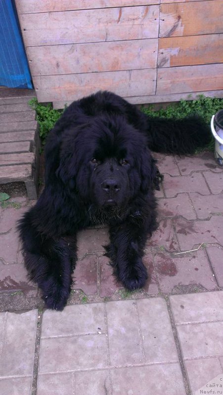 Фотография № 186743