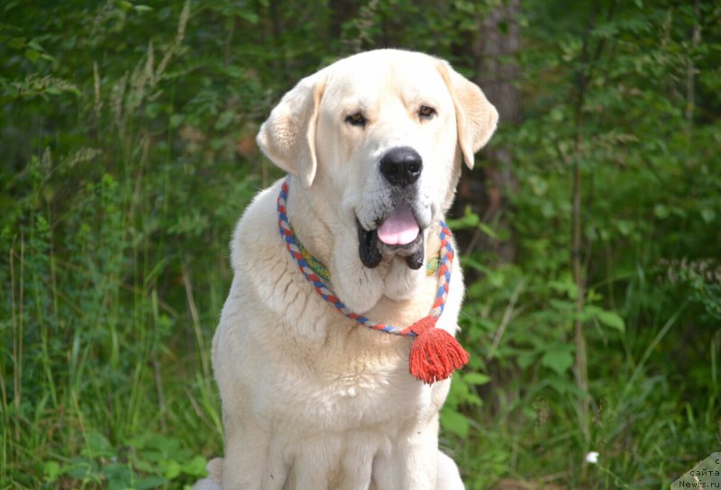 Фотография № 186761