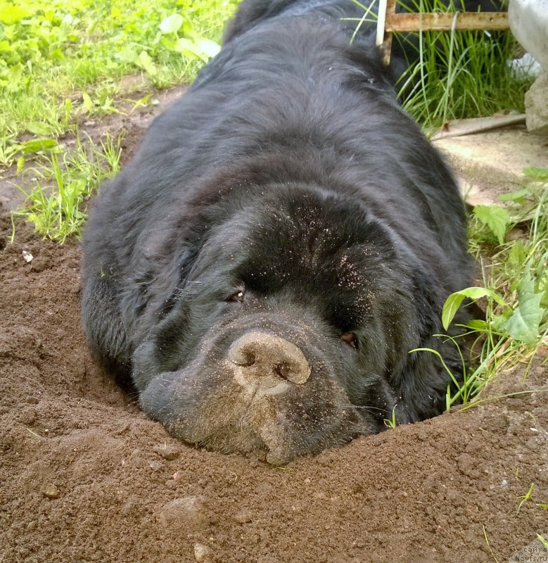 Фотография № 186782