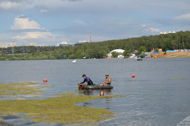 Фотография № 186785