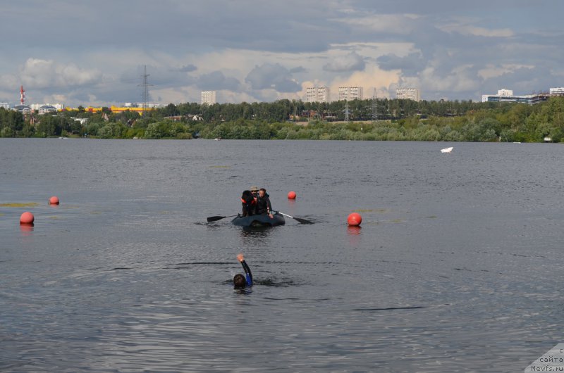 Фотография № 186788