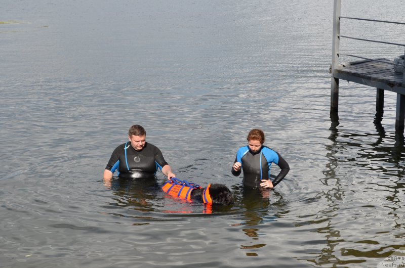 Фотография № 186792