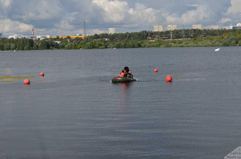 Фотография № 186794