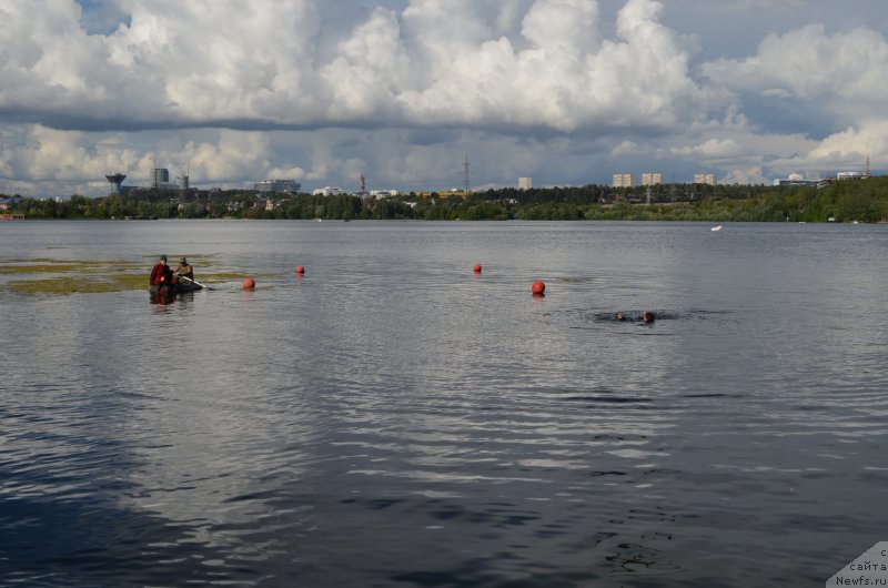 Фотография № 186803