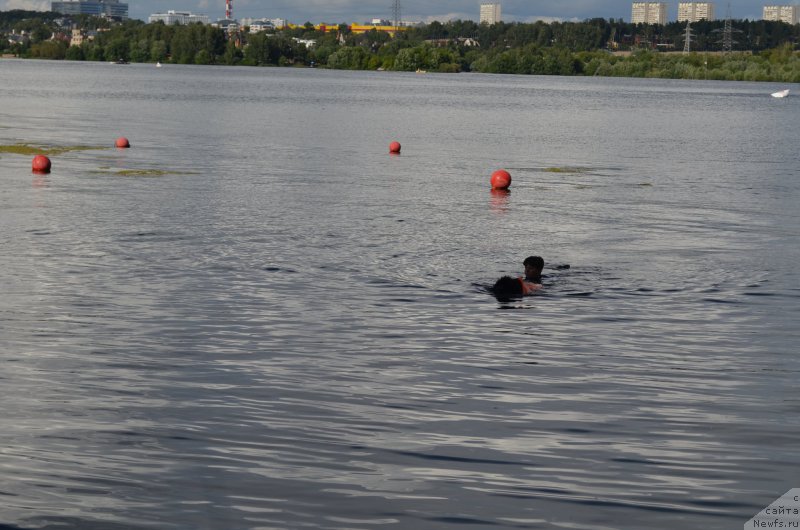 Фотография № 186804