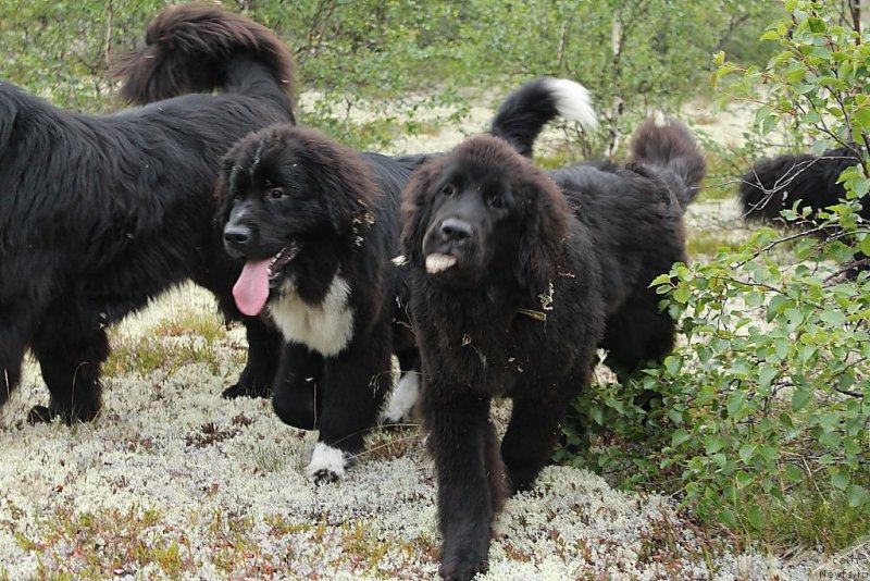 Фотография № 186811