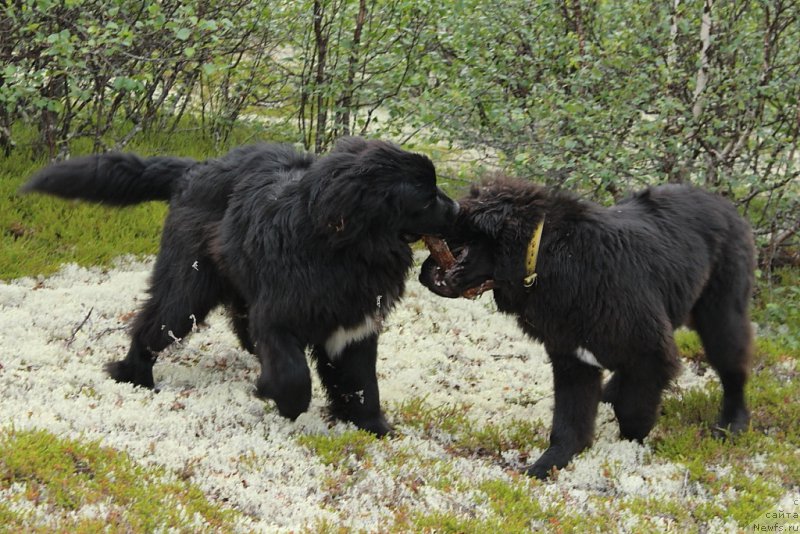 Фотография № 186815