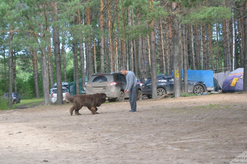 Фото: Elena Votchal (Елена Вотчал)