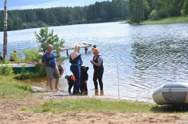 Фотография № 186827