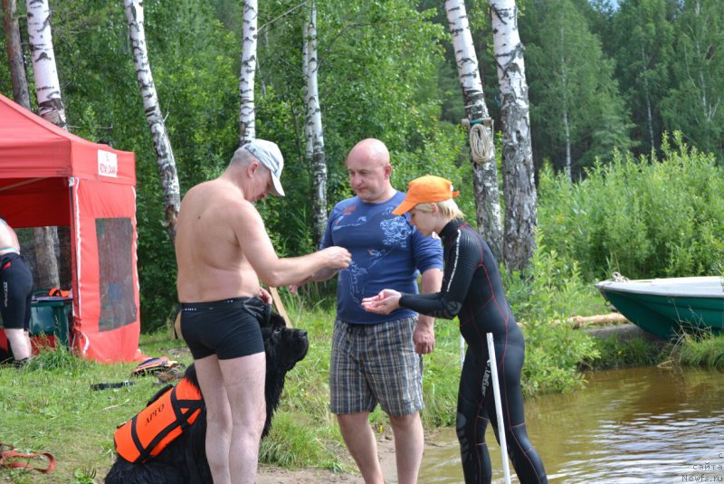 Фотография № 186828