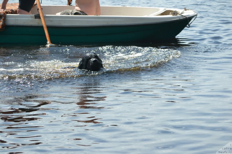 Фото: Elena Votchal (Елена Вотчал)