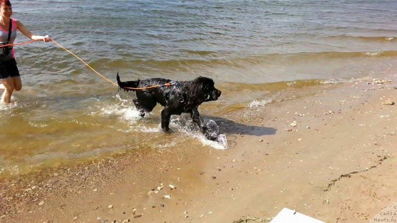 Фотография № 186836