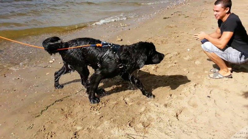 Фотография № 186837