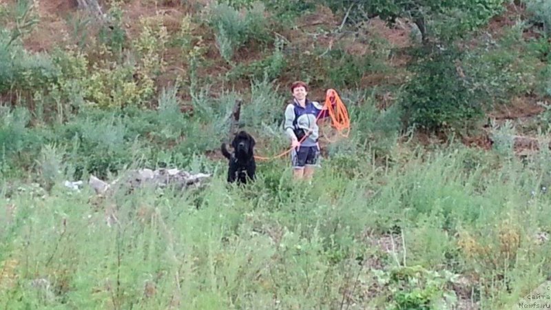 Фотография № 186838