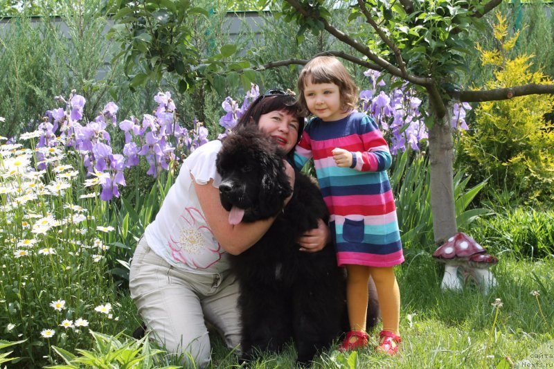 Фотография № 186844