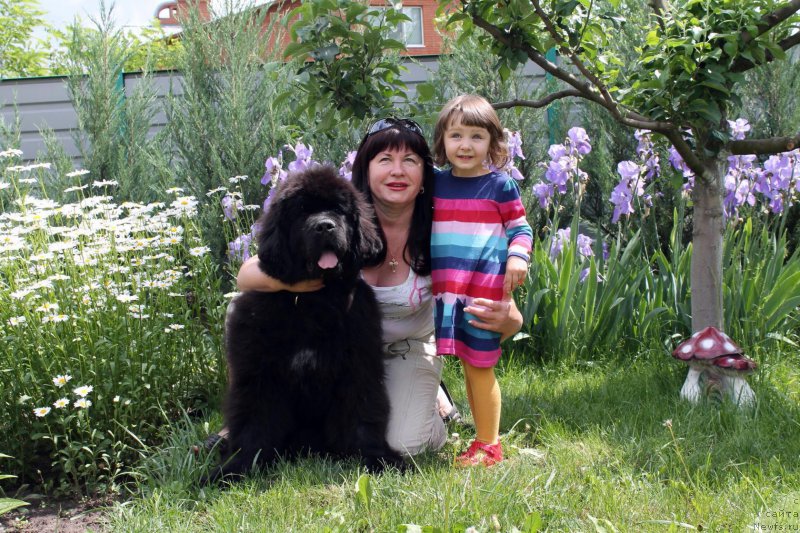 Фотография № 186845