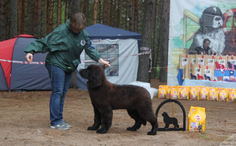 Фото: АК Дрим Тим