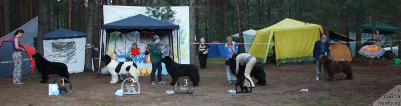 Фото: ньюфаундленд Dar Svezy Stands to Reason (Дар Свезы Стэндс Ту Реасон), ньюфаундленд Keeper Soul Nou Daut Best (Кипер Соул Ноу Даут Бэст), ньюфаундленд Aquatoriya Kelvin Fase Control (Акватория Келвин Фэйс Контрол), ньюфаундленд Aquatoriya Kelvin From Siberia at Cayuga (Акватория Келвин Фром Сибириа эт Каюга), ньюфаундленд Aquatoriya Kelvin Reds Begin and Win (Акватория Келвин Редс Бегин энд Вин)