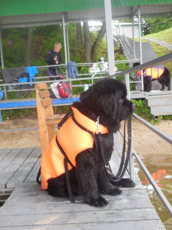 Фотография № 186898