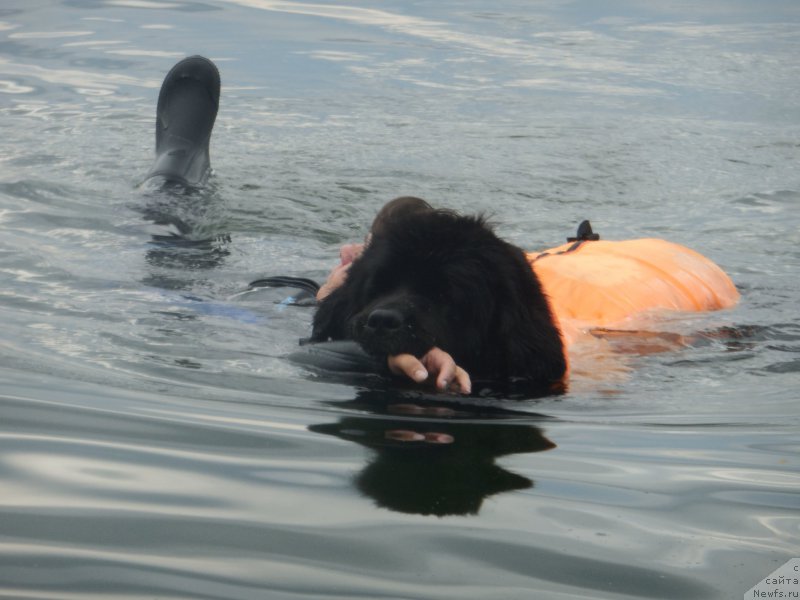 Фотография № 186900