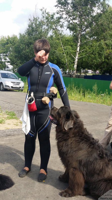 Фото: Elena Bogdanova (Елена Богданова), ньюфаундленд Angel Khranitel Gruffidd (Ангел Хранитель Граффидд)