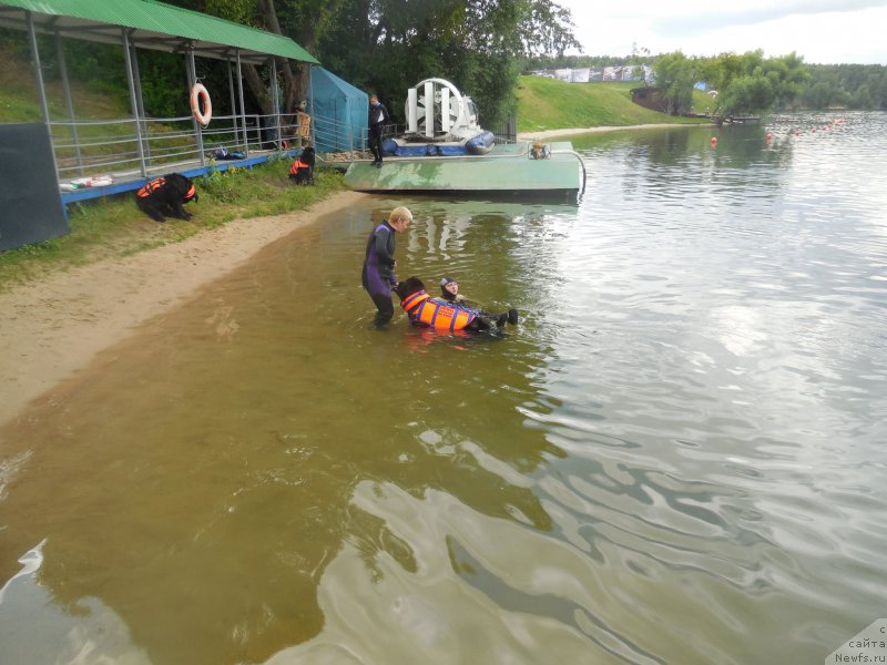 Фотография № 186986