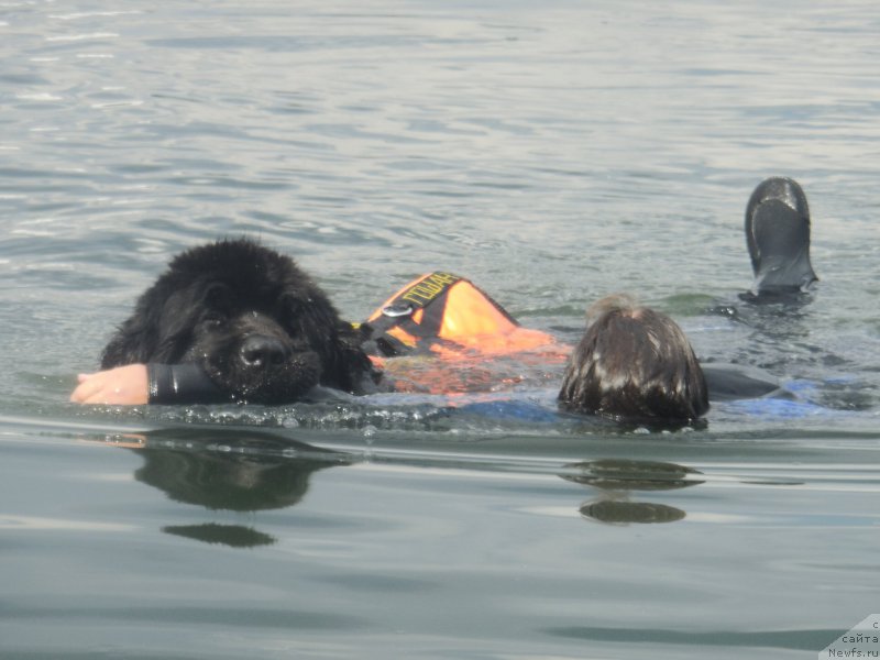 Фотография № 186988